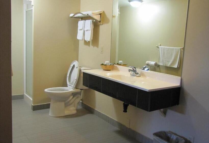 غرفة قياسية مزوَّدة بجاكوزي, Northland Motel