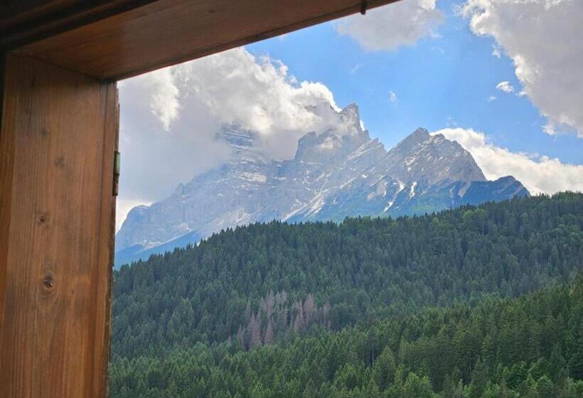 스탠다드 룸, Nevada