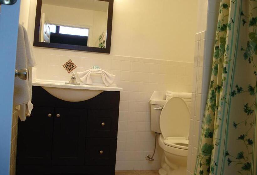 إستوديو ديلوكس, Atlantic Motel