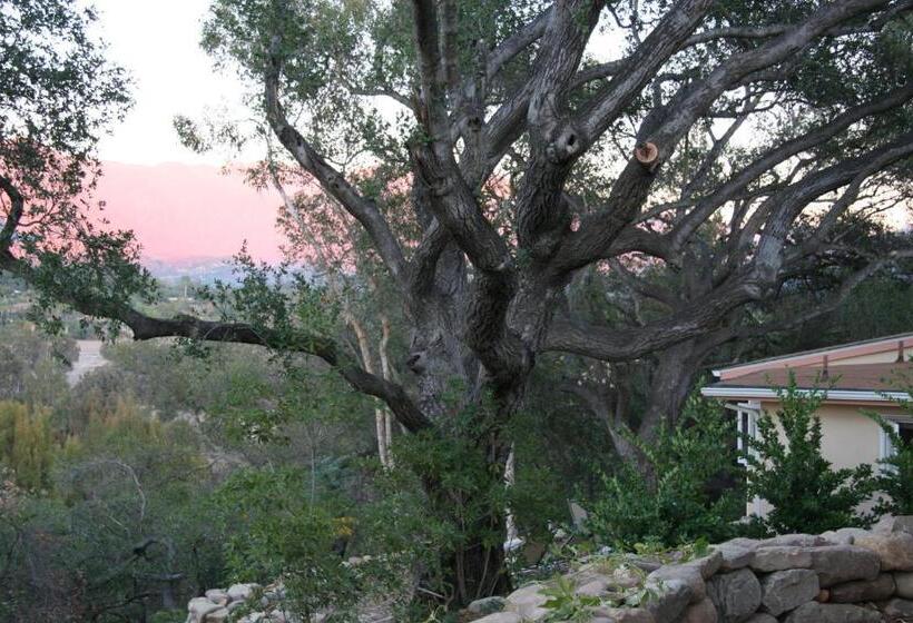 חדר סטנדרט עם נוף, Ojai Retreat & Inn