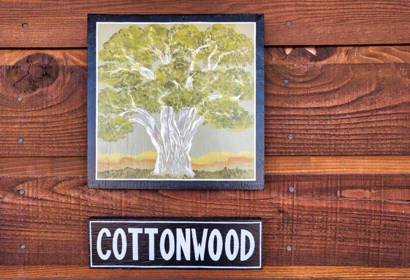 غرفة ديلوكس سرير كينج, The Loubird Inn