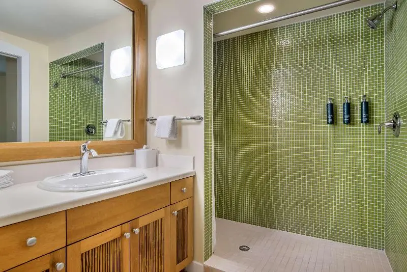 استودیو استاندارد با تخت کینگ, Hilton Grand Vacations Club In Sandestin Golf & Beach Resort