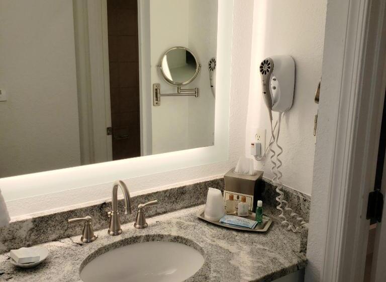 اتاق سوپریور با تخت بزرگ, Avenue Inn & Spa