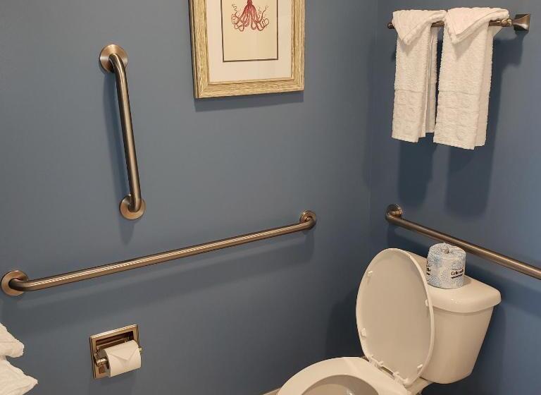 غرفة قياسية لذوى الاحتياجات الخاصة, Avenue Inn & Spa