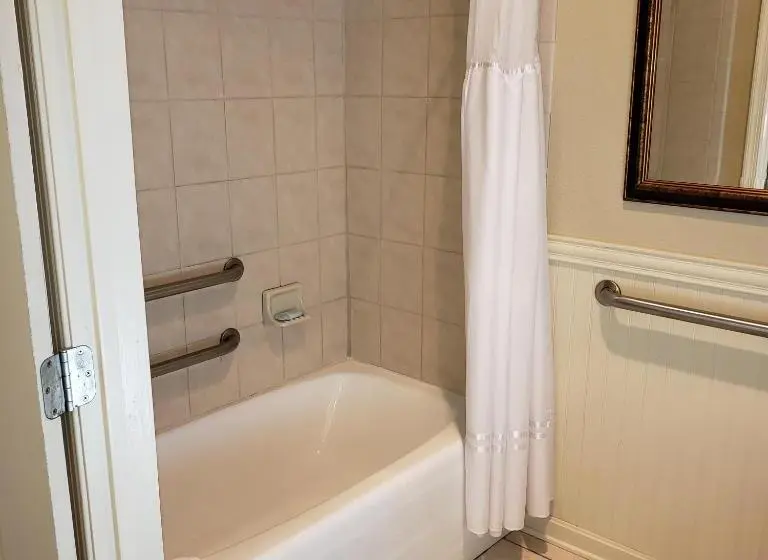 身障者適用スタンダードルーム, Avenue Inn & Spa