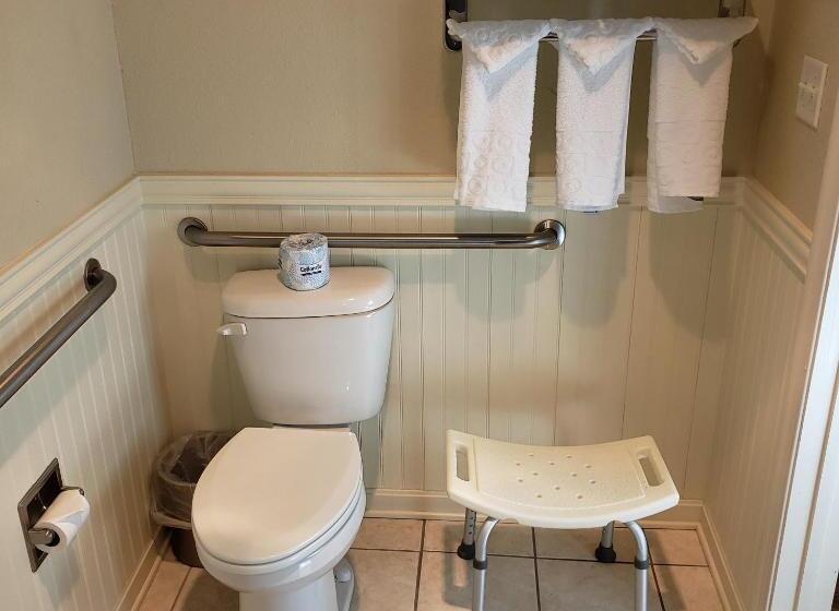 غرفة قياسية لذوى الاحتياجات الخاصة, Avenue Inn & Spa