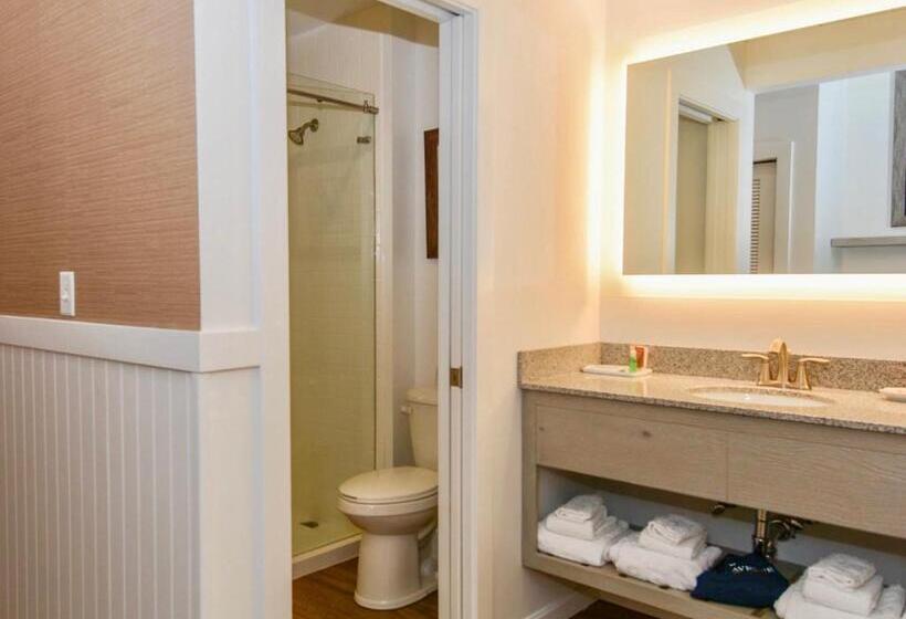 غرفة ديلوكس سرير كينج, Avenue Inn & Spa