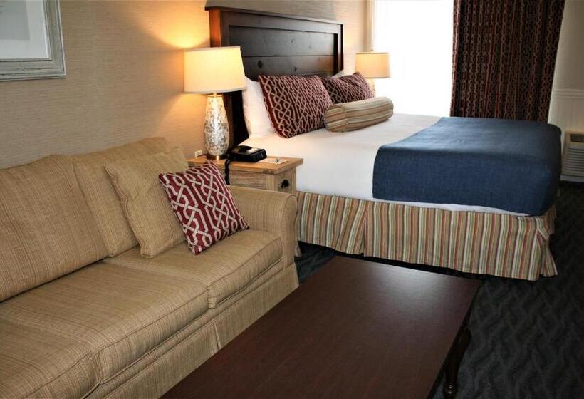 غرفة قياسية لذوى الاحتياجات الخاصة, Avenue Inn & Spa