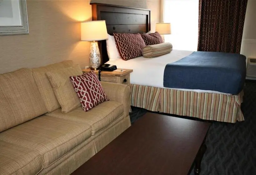 身障者適用スタンダードルーム, Avenue Inn & Spa