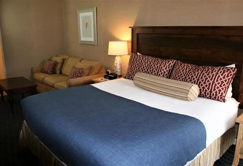 身障者適用スタンダードルーム, Avenue Inn & Spa