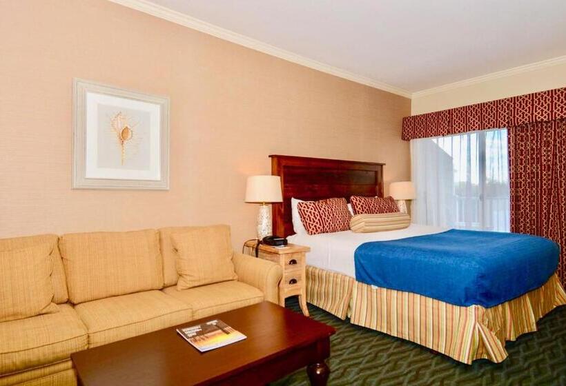 غرفة قياسية لذوى الاحتياجات الخاصة, Avenue Inn & Spa