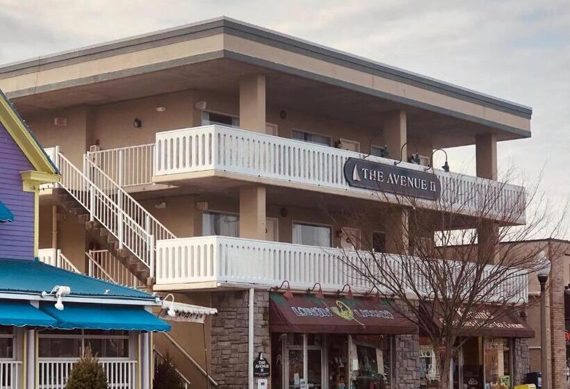 جناح, Avenue Inn & Spa