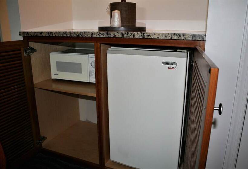 غرفة قياسية, Avenue Inn & Spa