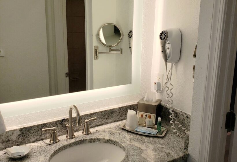 غرفة قياسية, Avenue Inn & Spa