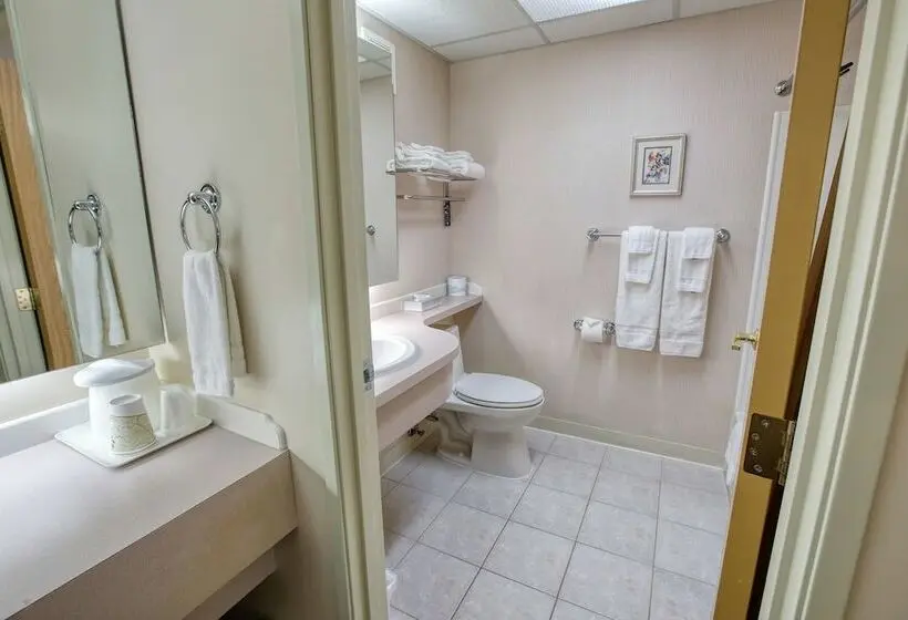 Deluxe-huone, Bear Lodge