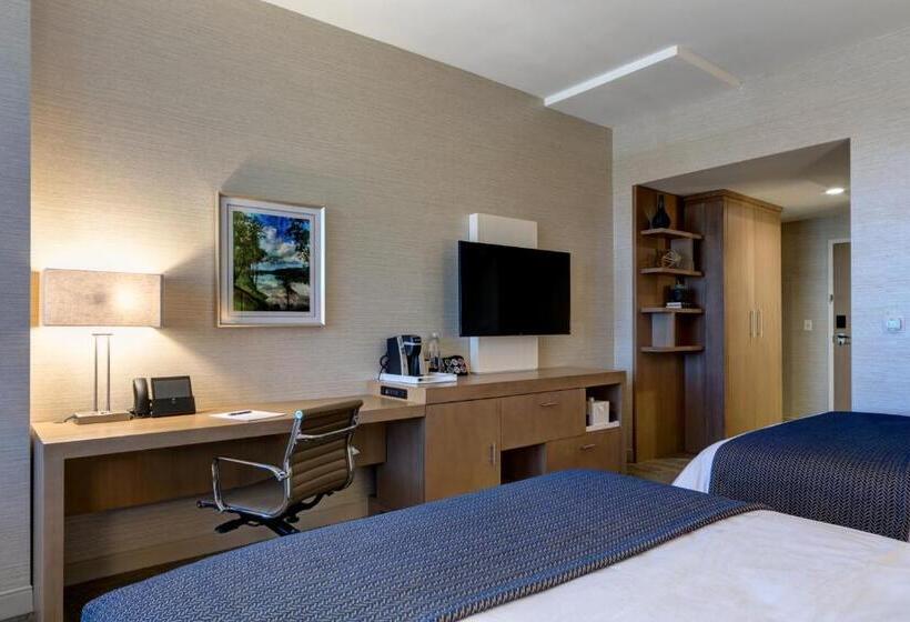 スーペリアールーム, Jb Duke