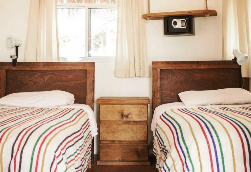 标准间, Palapas Ventana