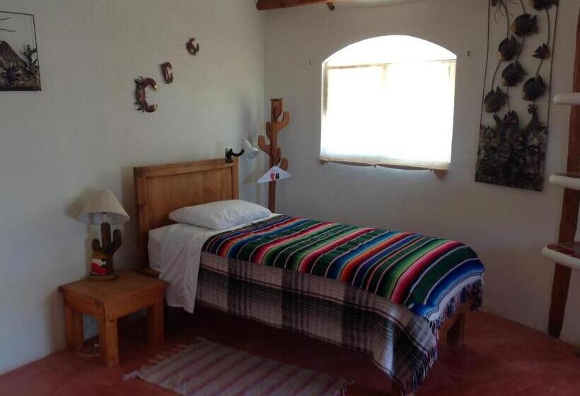 标准间, Palapas Ventana