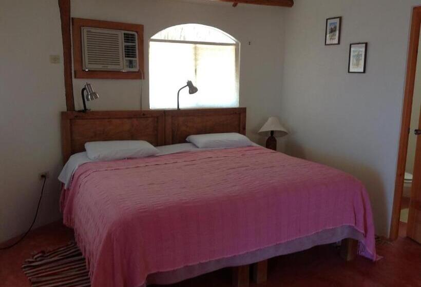 标准间, Palapas Ventana