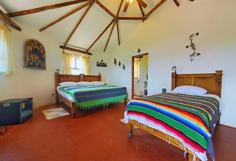 标准间, Palapas Ventana