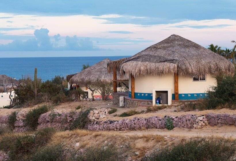 标准间, Palapas Ventana