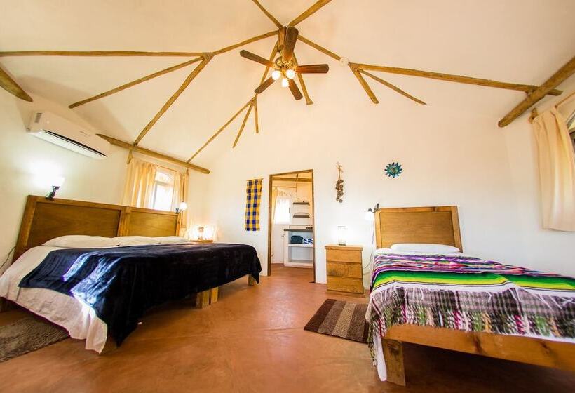 标准间, Palapas Ventana