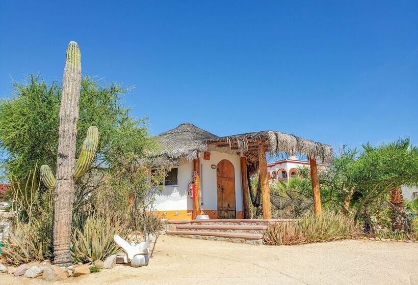 标准间, Palapas Ventana