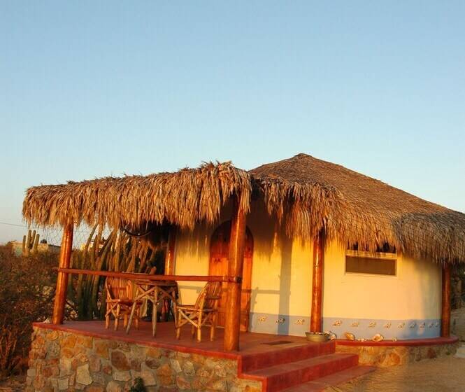 标准间, Palapas Ventana