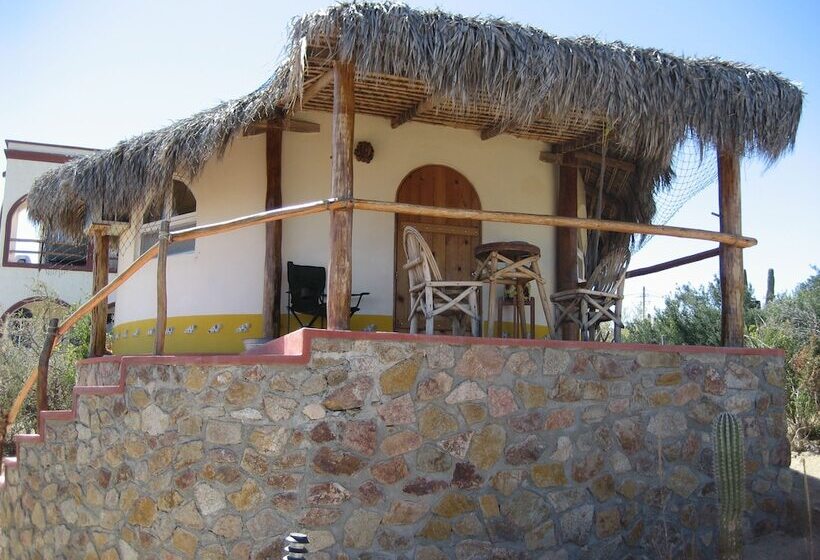 标准间, Palapas Ventana