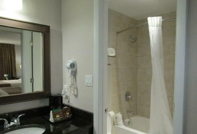 Standard-huone 2 Parivuodetta, Quality Inn & Suites Kissimmee By The Lake