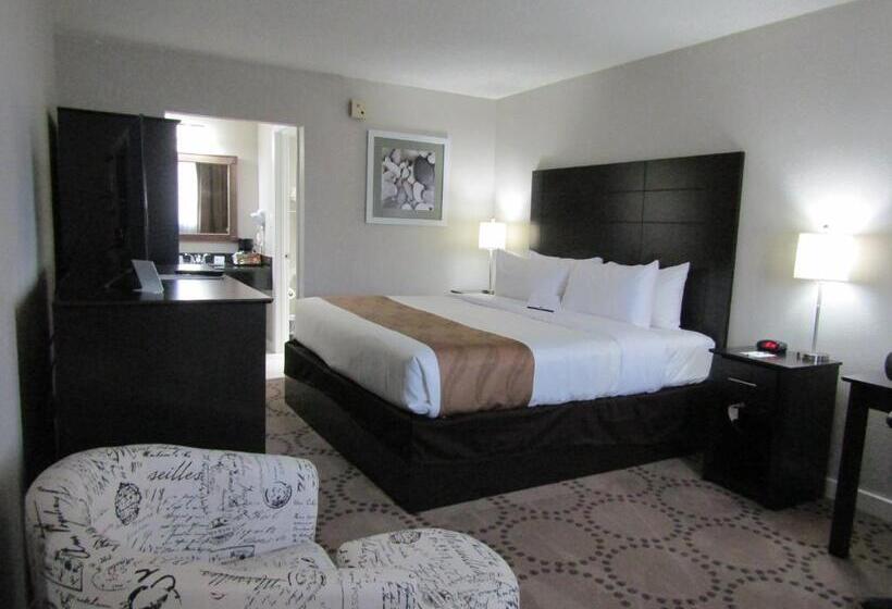 غرفة قياسية سرير كينج, Quality Inn & Suites Kissimmee By The Lake