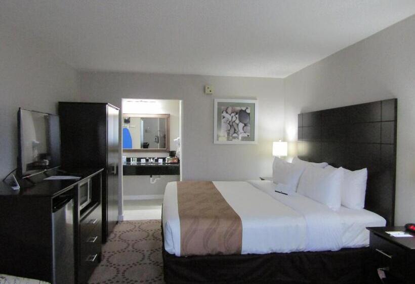 غرفة قياسية سرير كينج, Quality Inn & Suites Kissimmee By The Lake