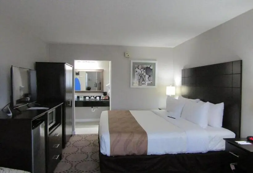 Standard-huone King-vuode, Quality Inn & Suites Kissimmee By The Lake
