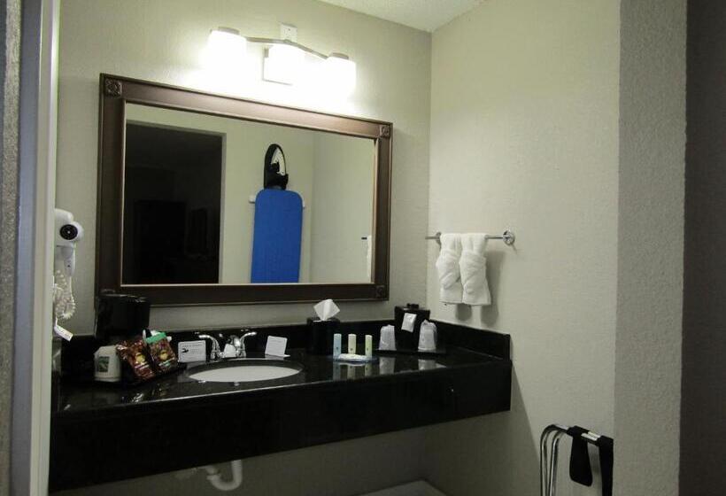 Стандартный Номер Кровать Кинг, Quality Inn & Suites Kissimmee By The Lake
