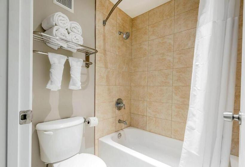 غرفة قياسية سرير كينج, Quality Inn & Suites Kissimmee By The Lake