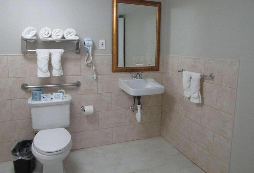 غرفة قياسية لذوى الاحتياجات الخاصة, Quality Inn & Suites Kissimmee By The Lake