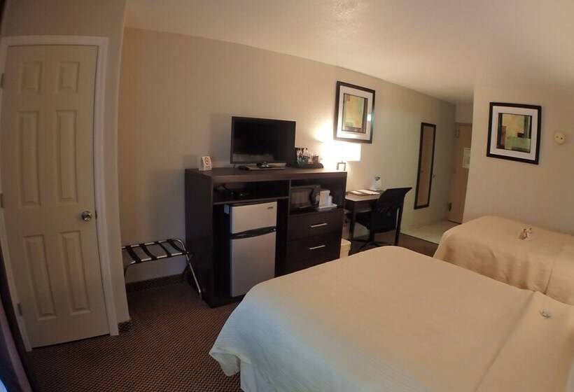 غرفه قياسيه سريرين مزدوجين, Quality Inn & Suites
