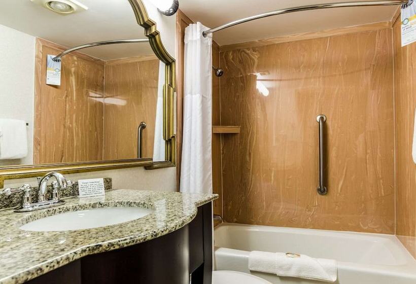 غرفه قياسيه سريرين مزدوجين, Quality Inn & Suites