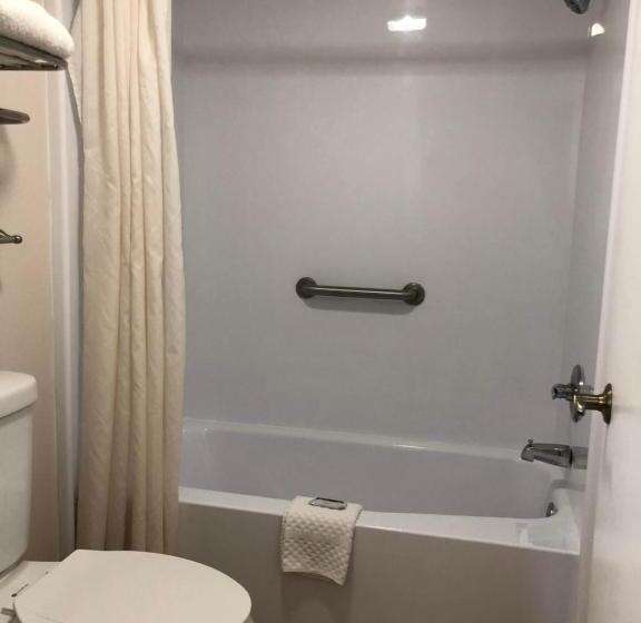 جناح ديلوكس سرير كينج, Sun Coast Inn