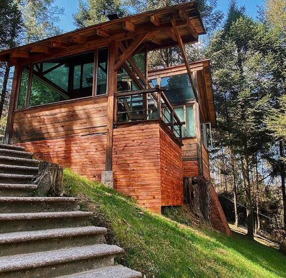 غرفة قياسية مزوَّدة بجاكوزي, Quinta Los Azufres