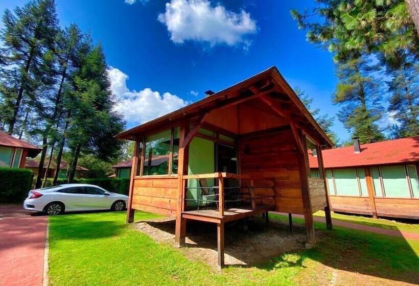 غرفة قياسية, Quinta Los Azufres