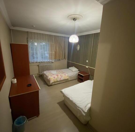 Трехместный Номер Deluxe, Aras Hotels çorlu