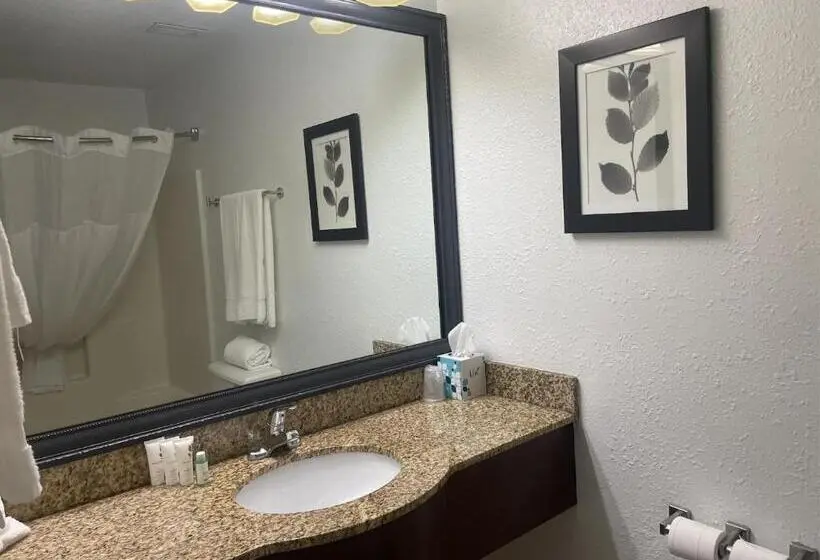 اتاق لوکس, Harmony Inn & Suites