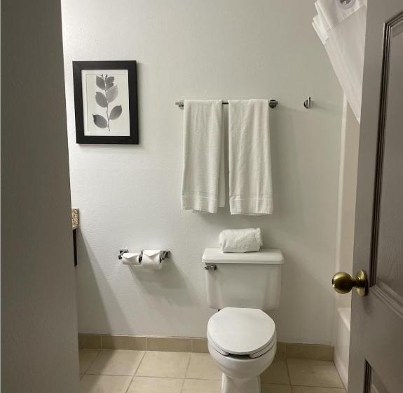 غرفة قياسية سرير كينج, Harmony Inn & Suites