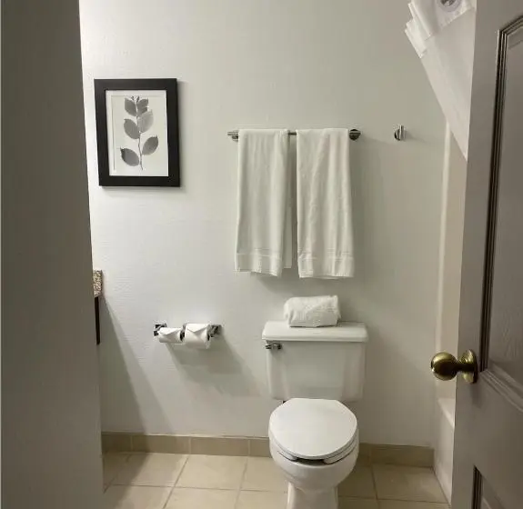 اتاق استاندارد با تخت بزرگ, Harmony Inn & Suites