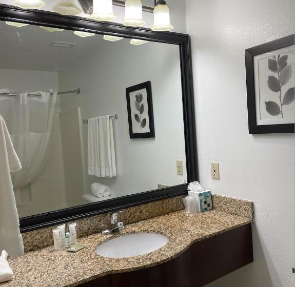 غرفة قياسية سرير كينج, Harmony Inn & Suites