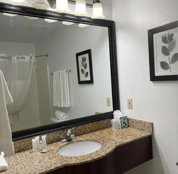 اتاق استاندارد با تخت بزرگ, Harmony Inn & Suites