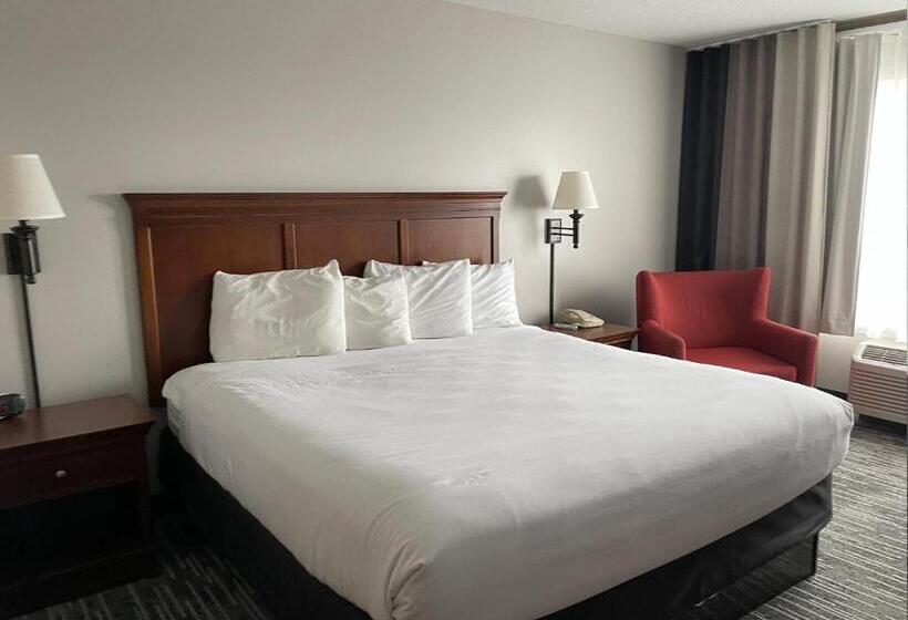 غرفة قياسية سرير كينج, Harmony Inn & Suites