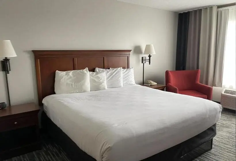 اتاق استاندارد با تخت بزرگ, Harmony Inn & Suites