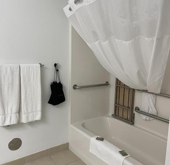 غرفة قياسية لذوى الاحتياجات الخاصة, Harmony Inn & Suites